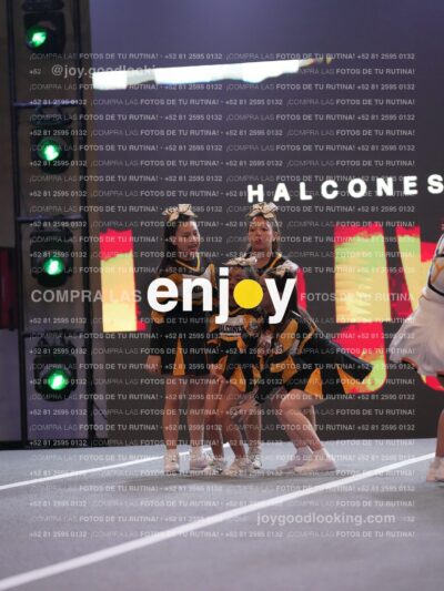 Joy Hsf 115