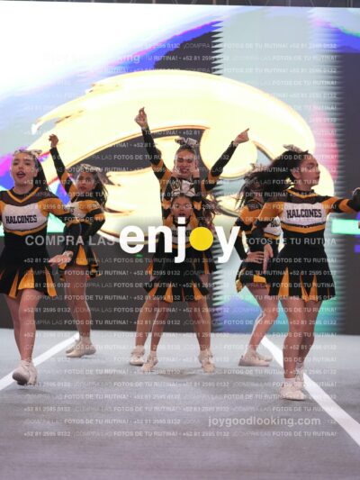 Joy Hsf 199