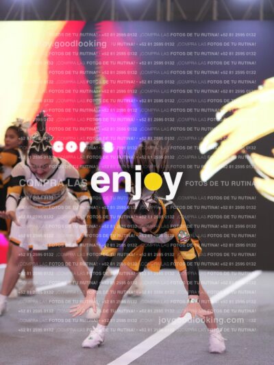 Joy Hsf 201