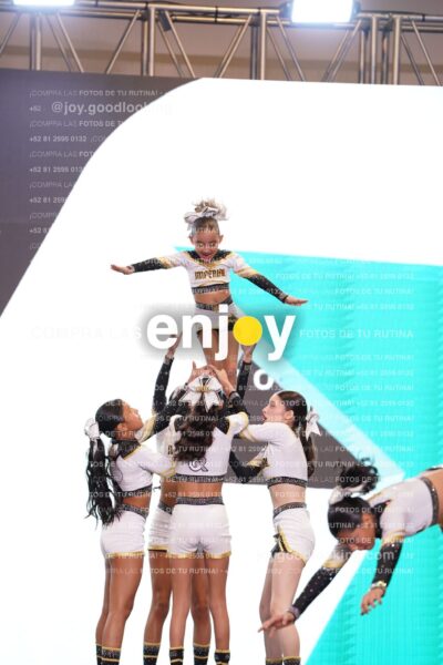 Joy Id2 019
