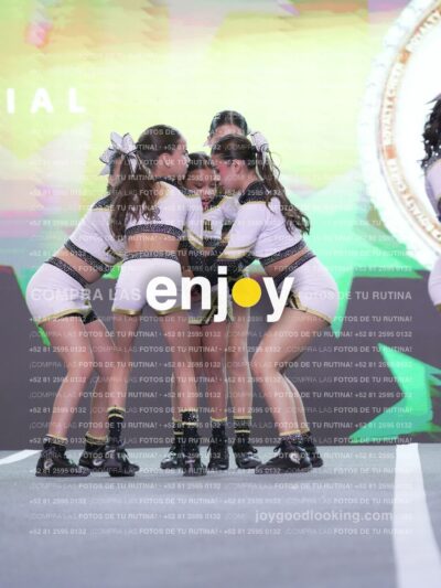 Joy Id2 210