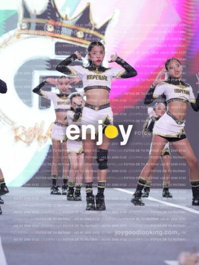 Joy Id2 238