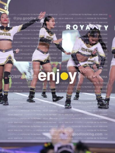 Joy Id2 240