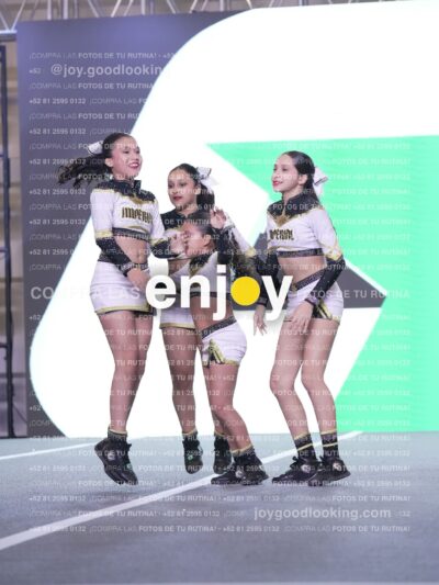Joy Id2 309