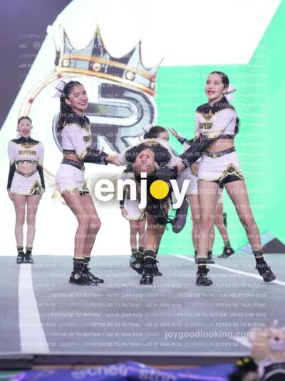 Joy Id2 312