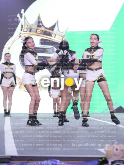 Joy Id2 313