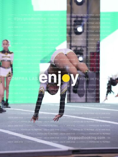 Joy Id2 316