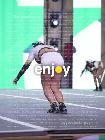Joy Id2 317