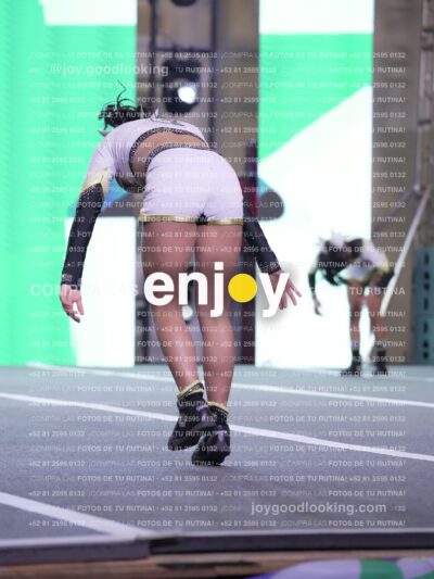 Joy Id2 318