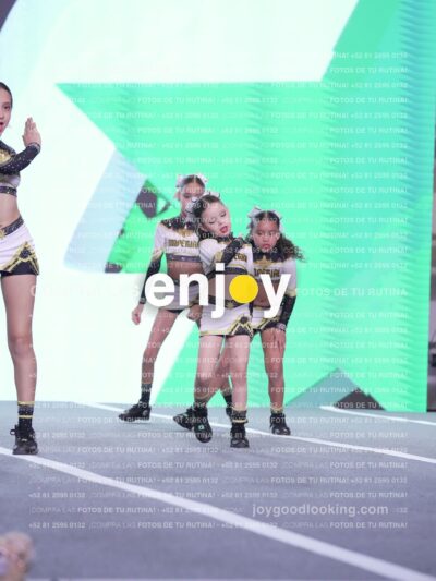 Joy Id2 319