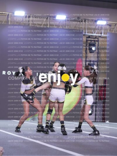 Joy Id2 338