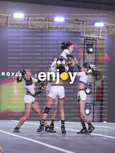 Joy Id2 339