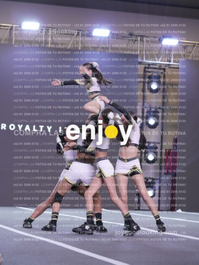 Joy Id2 343