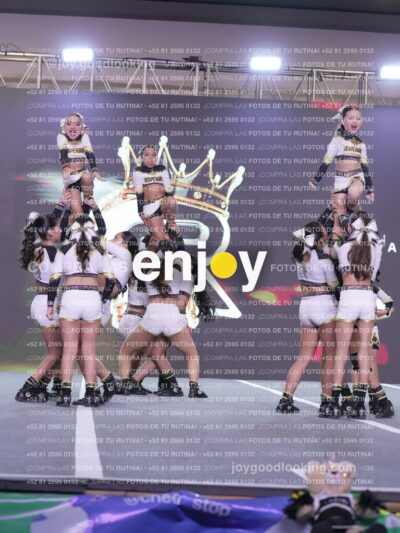 Joy Id2 354
