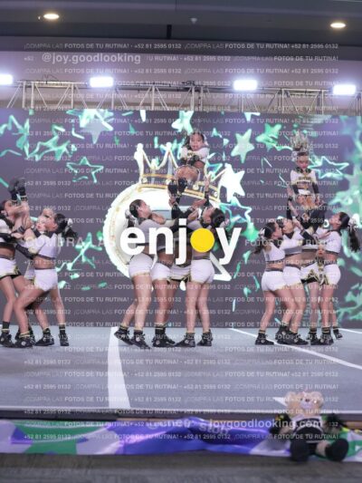 Joy Id2 383
