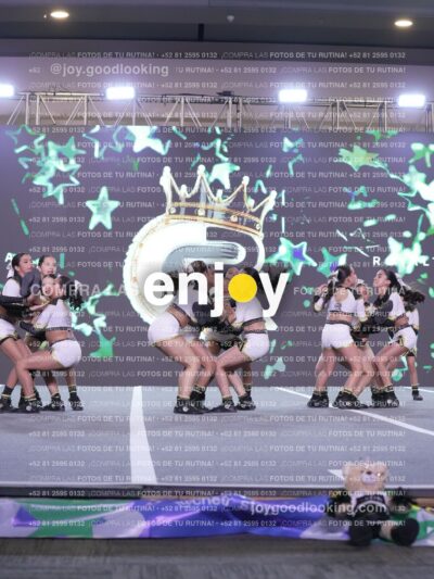 Joy Id2 385