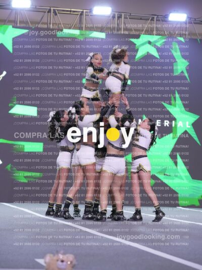 Joy Id2 388