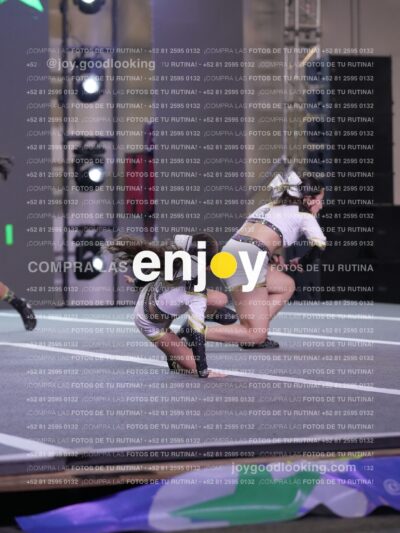 Joy Id2 439
