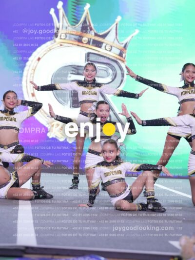 Joy Id2 453