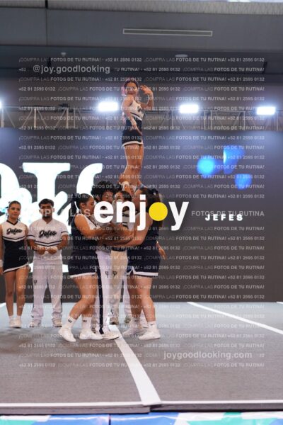 Joy Jm 102