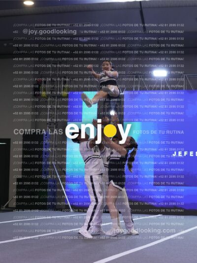 Joy Jm 200