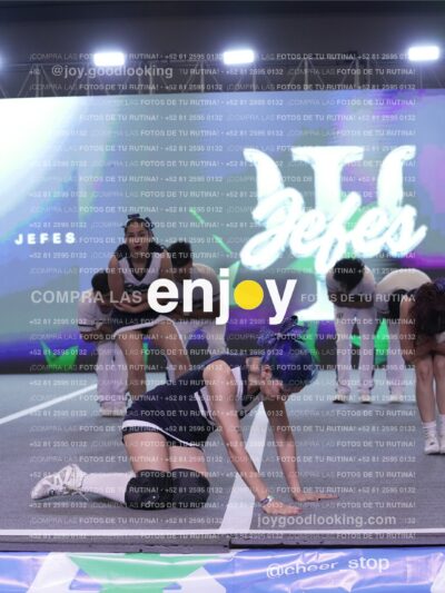 Joy Jm 266