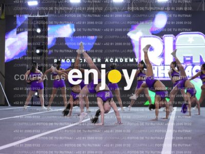 Joy Lrsf 119