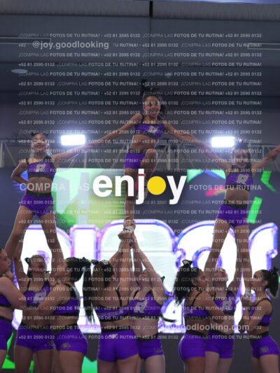 Joy Lrsf 194