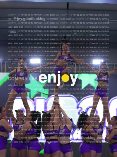 Joy Lrsf 195