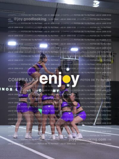 Joy Lrsf 200