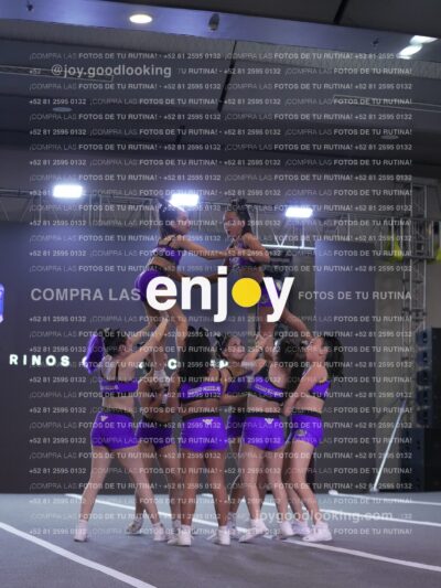Joy Lrsf 201