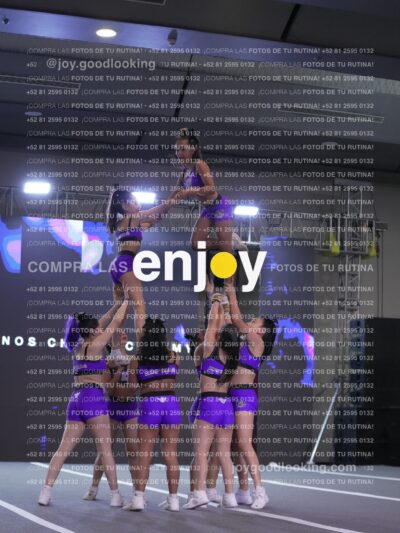 Joy Lrsf 204