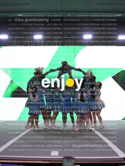 Joy Lssf 101