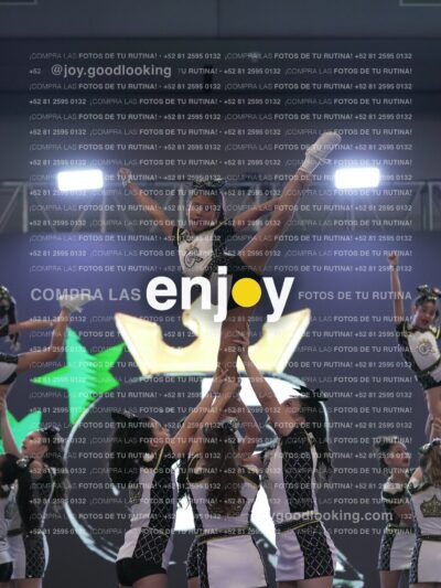 Joy Mjm 041