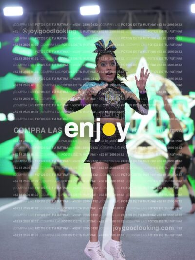 Joy Osm 004