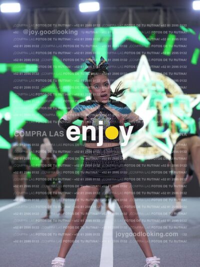 Joy Osm 005