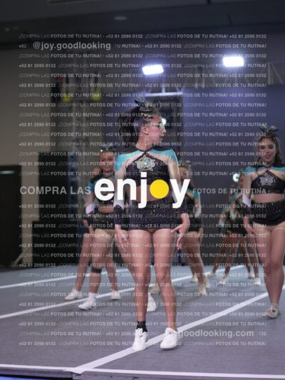 Joy Osm 010