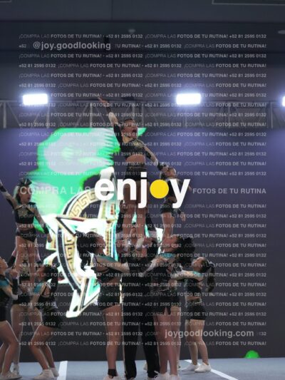 Joy Osm 020