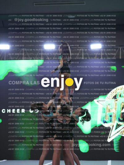 Joy Osm 024