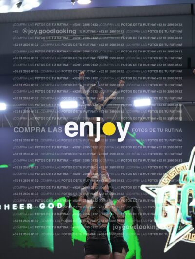 Joy Osm 025