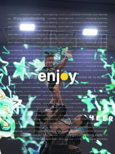 Joy Osm 031