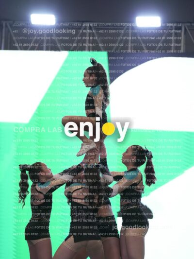 Joy Osm 040