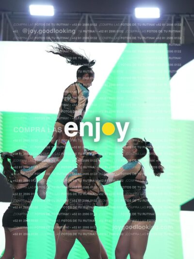 Joy Osm 042