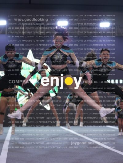 Joy Osm 055