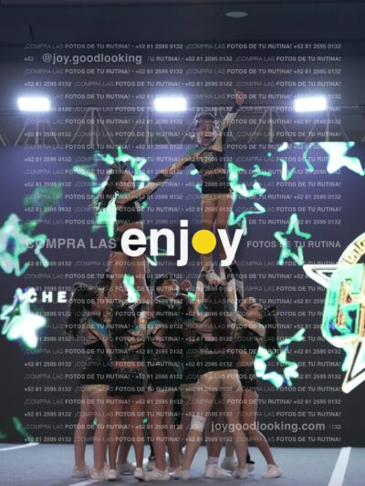 Joy Osm 064