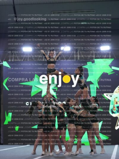 Joy Osm 067