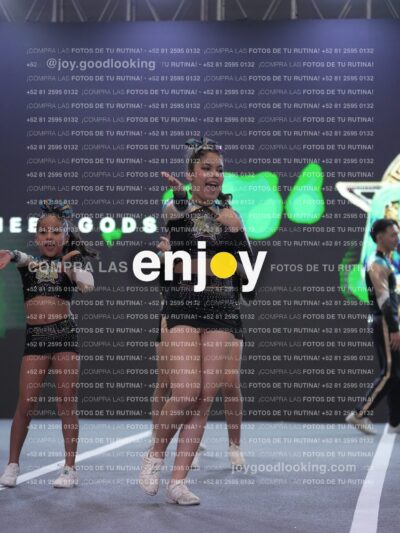 Joy Osm 075