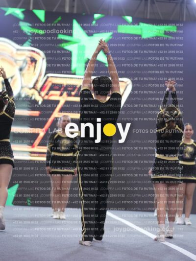 Joy P2Mpm 008