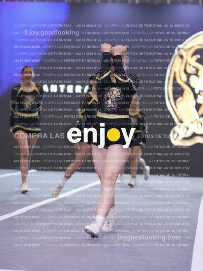 Joy P2Mpm 013