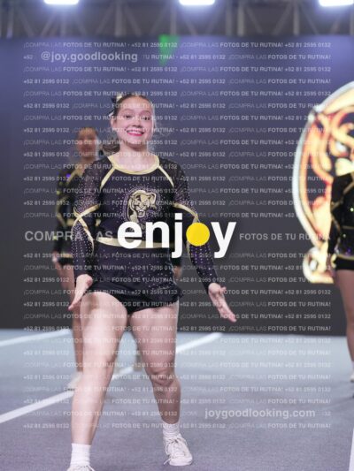 Joy P2Mpm 018